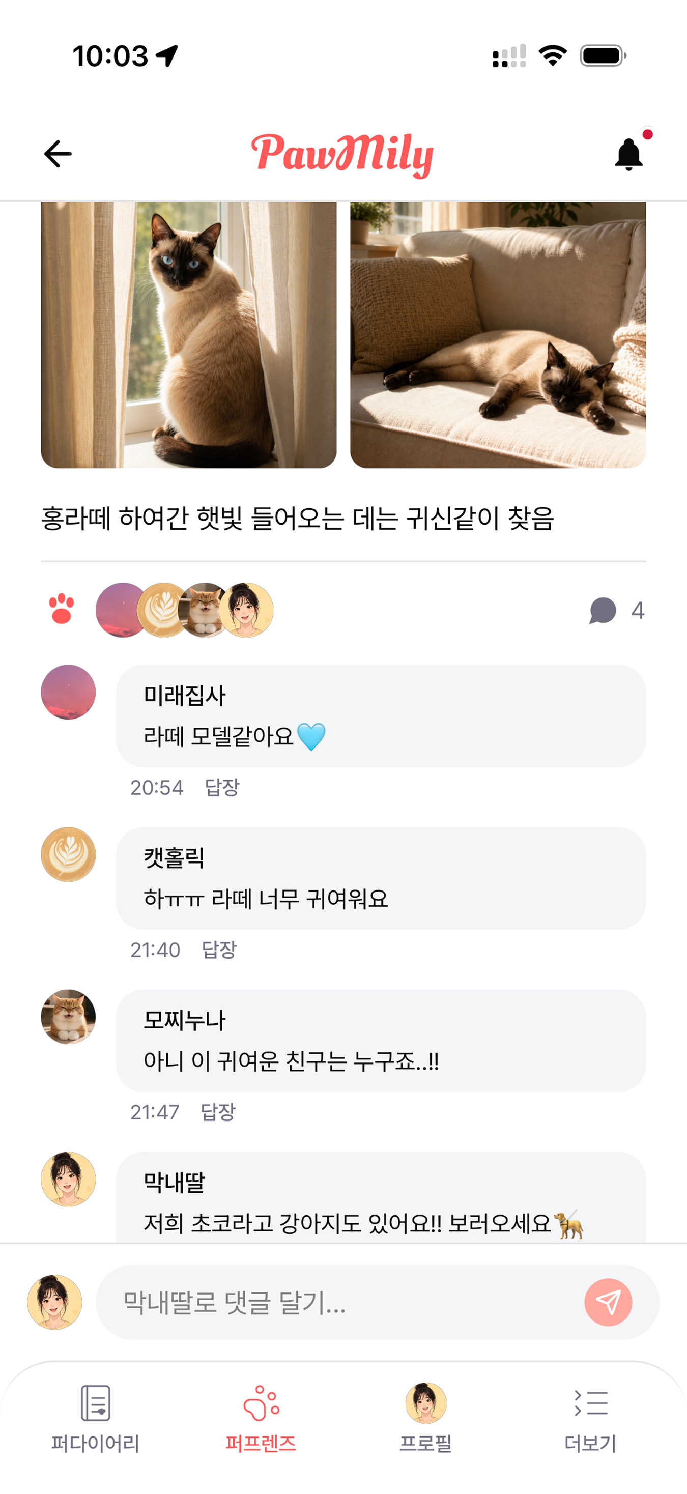 우리 애 귀여운 거 못 본 사람 없게 하기 — PawMily app screenshot